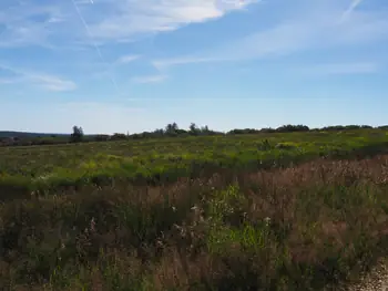 Signal de Botrange (België)